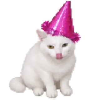 誕生日帽子の白猫。3回タップすると高速盆踊り