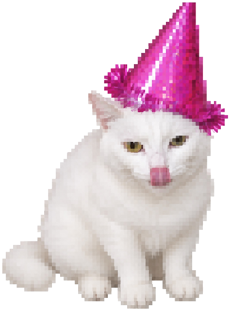 ピンクの誕生日帽子をかぶった白猫