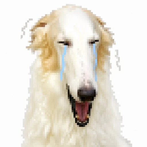 泣いている白いボルゾイ